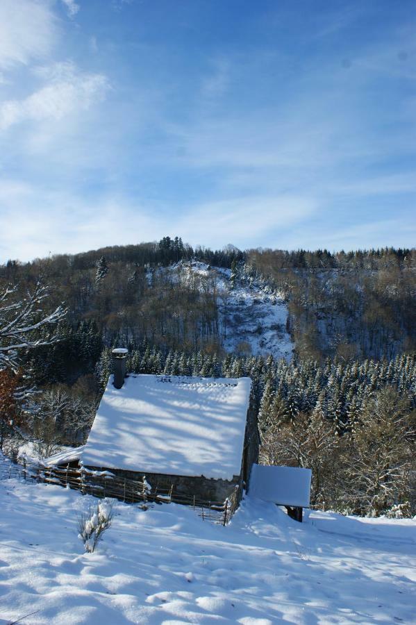 Le Gite De Chomet La Tour-d'Auvergne Exterior photo